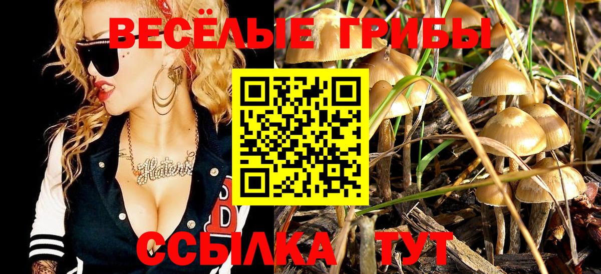 Галлюциногенные грибы Psilocybine cubensis Людиново