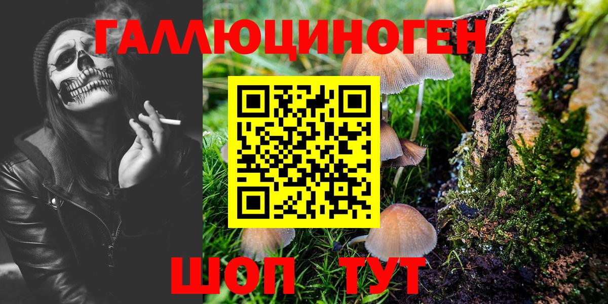Галлюциногенные грибы Psilocybine cubensis  Псилоцибиновые грибы MAGIC MUSHROOMS  Людиново  Вход с VPN 